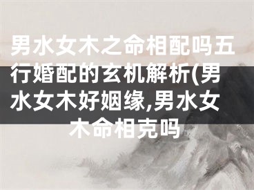 男水女木之命相配吗五行婚配的玄机解析(男水女木好姻缘,男水女木命相克吗