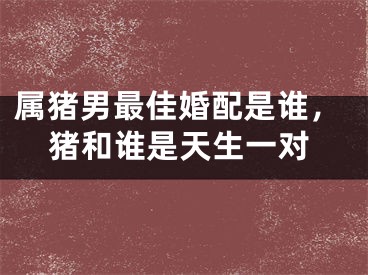 属猪男最佳婚配是谁，猪和谁是天生一对