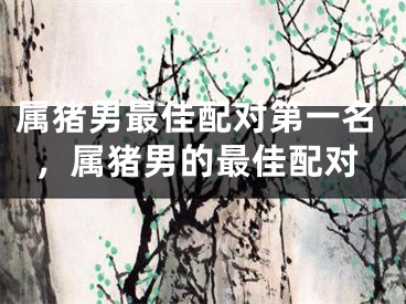 属猪男最佳配对第一名，属猪男的最佳配对