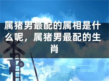 属猪男最配的属相是什么呢，属猪男最配的生肖