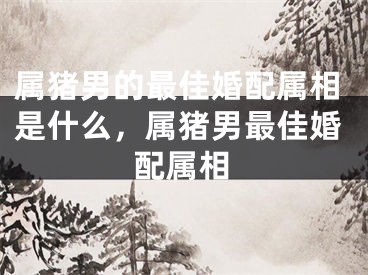 属猪男的最佳婚配属相是什么，属猪男最佳婚配属相