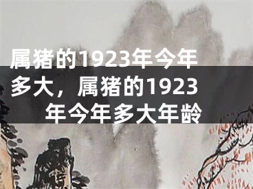 属猪的1923年今年多大，属猪的1923年今年多大年龄