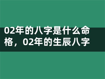 02年的八字是什么命格，02年的生辰八字