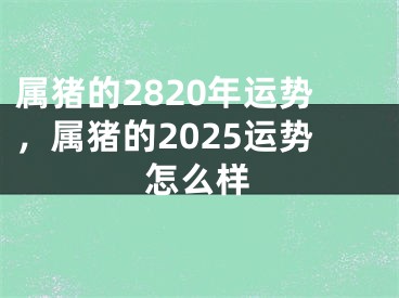 属猪的2820年运势，属猪的2025运势怎么样