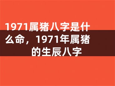 1971属猪八字是什么命，1971年属猪的生辰八字