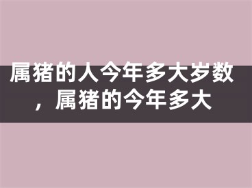 属猪的人今年多大岁数，属猪的今年多大