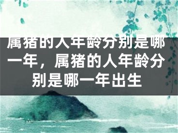 属猪的人年龄分别是哪一年，属猪的人年龄分别是哪一年出生