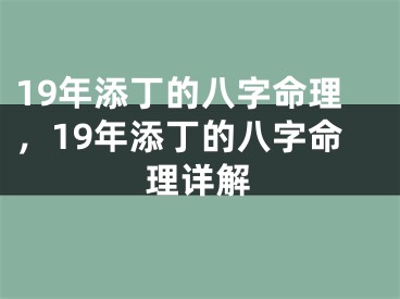 19年添丁的八字命理，19年添丁的八字命理详解