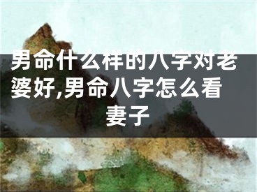男命什么样的八字对老婆好,男命八字怎么看妻子