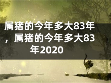 属猪的今年多大83年,属猪的今年多大83年2020