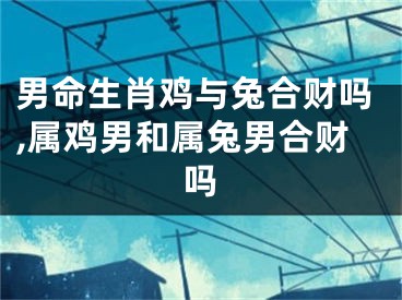 男命生肖鸡与兔合财吗,属鸡男和属兔男合财吗