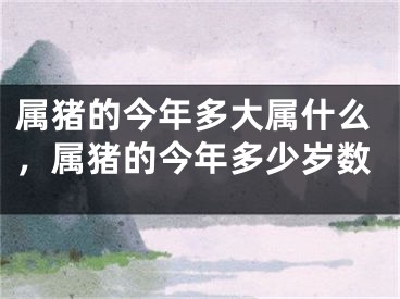 属猪的今年多大属什么，属猪的今年多少岁数