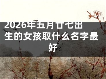 2026年五月廿七出生的女孩取什么名字最好