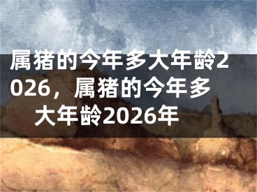 属猪的今年多大年龄2026，属猪的今年多大年龄2026年