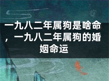 一九八二年属狗是啥命，一九八二年属狗的婚姻命运