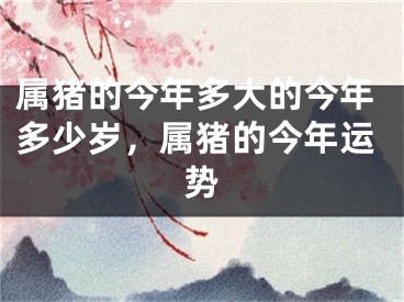属猪的今年多大的今年多少岁，属猪的今年运势