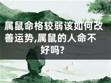属鼠命格较弱该如何改善运势,属鼠的人命不好吗?