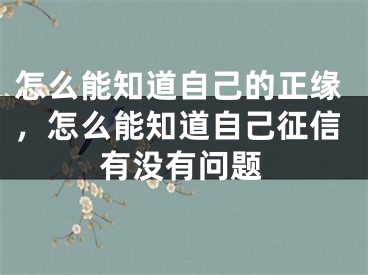 怎么能知道自己的正缘，怎么能知道自己征信有没有问题