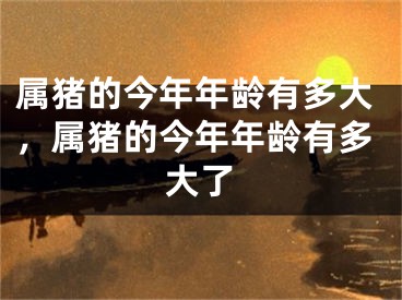 属猪的今年年龄有多大，属猪的今年年龄有多大了