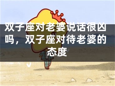 双子座对老婆说话很凶吗，双子座对待老婆的态度