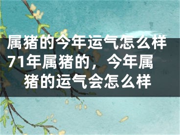 属猪的今年运气怎么样71年属猪的，今年属猪的运气会怎么样
