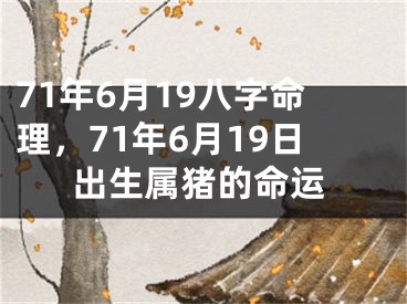 71年6月19八字命理，71年6月19日出生属猪的命运