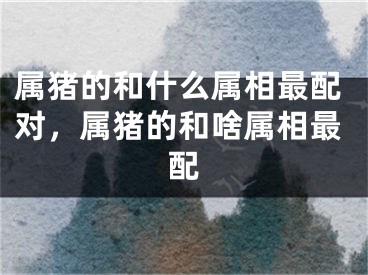 属猪的和什么属相最配对，属猪的和啥属相最配