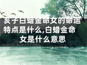 亥子白蜡金命女的命运特点是什么,白蜡金命女是什么意思
