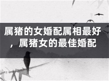 属猪的女婚配属相最好，属猪女的最佳婚配