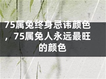 75属兔终身忌讳颜色，75属兔人永远最旺的颜色