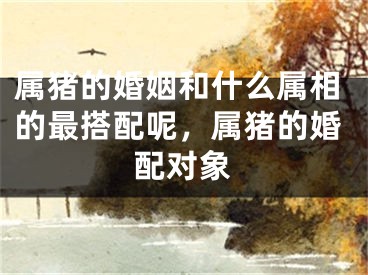 属猪的婚姻和什么属相的最搭配呢，属猪的婚配对象
