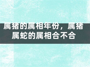 属猪的属相年份，属猪属蛇的属相合不合