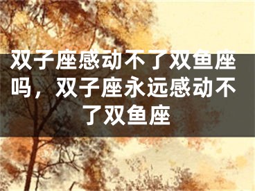 双子座感动不了双鱼座吗，双子座永远感动不了双鱼座