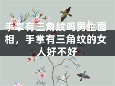 手掌有三角纹吗男生面相，手掌有三角纹的女人好不好