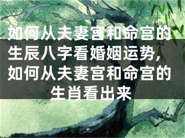 如何从夫妻宫和命宫的生辰八字看婚姻运势,如何从夫妻宫和命宫的生肖看出来