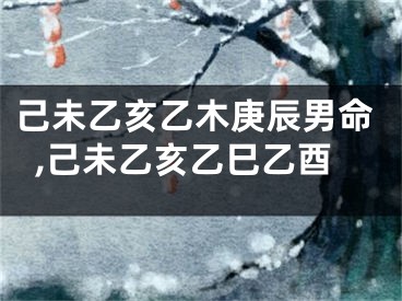 己未乙亥乙木庚辰男命,己未乙亥乙巳乙酉