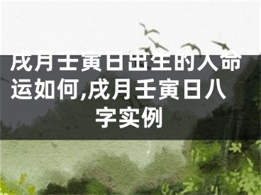 戌月壬寅日出生的人命运如何,戌月壬寅日八字实例