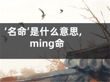 ‘名命’是什么意思,ming命
