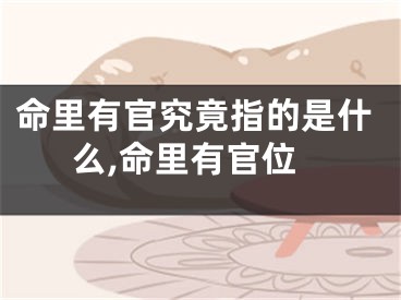 命里有官究竟指的是什么,命里有官位