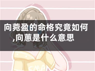 向菀盈的命格究竟如何,向蕙是什么意思