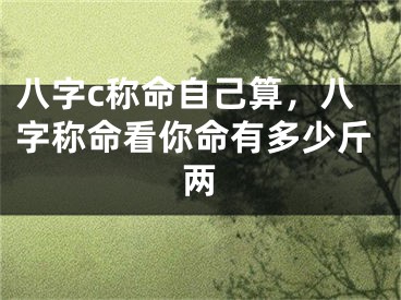 八字c称命自己算,八字称命看你命有多少斤两