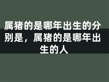 属猪的是哪年出生的分别是，属猪的是哪年出生的人