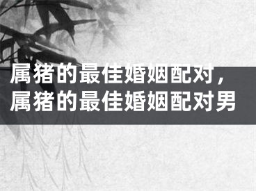 属猪的最佳婚姻配对，属猪的最佳婚姻配对男