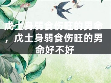 戊土身弱食伤旺的男命，戊土身弱食伤旺的男命好不好