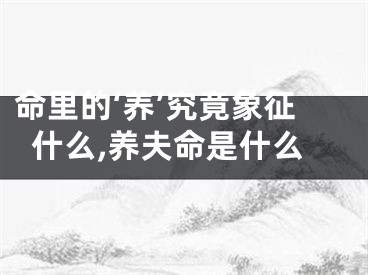 命里的‘养’究竟象征什么,养夫命是什么