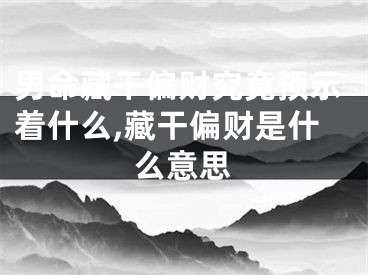 男命藏干偏财究竟预示着什么,藏干偏财是什么意思