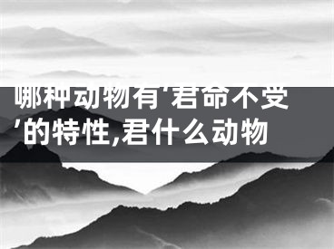 哪种动物有‘君命不受’的特性,君什么动物