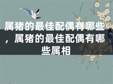属猪的最佳配偶有哪些，属猪的最佳配偶有哪些属相