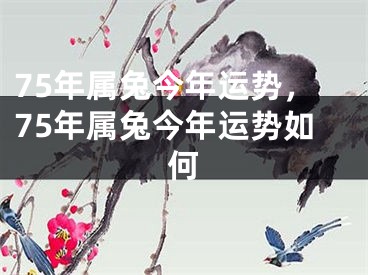 75年属兔今年运势，75年属兔今年运势如何