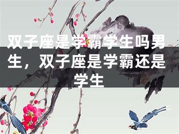 双子座是学霸学生吗男生，双子座是学霸还是学生